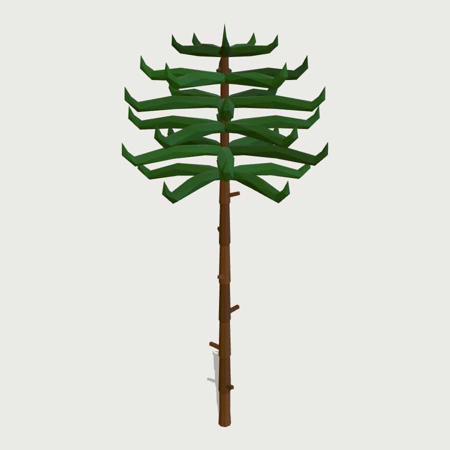 Araucaria Monkey Puzzle low-poly 3D model