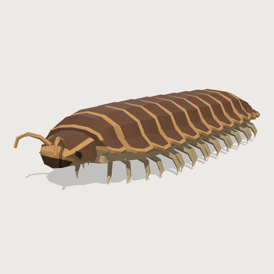 Arthropleura low-poly 3D model