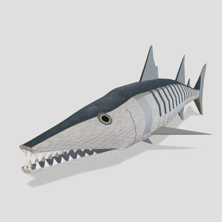Barracuda HD 3D model
