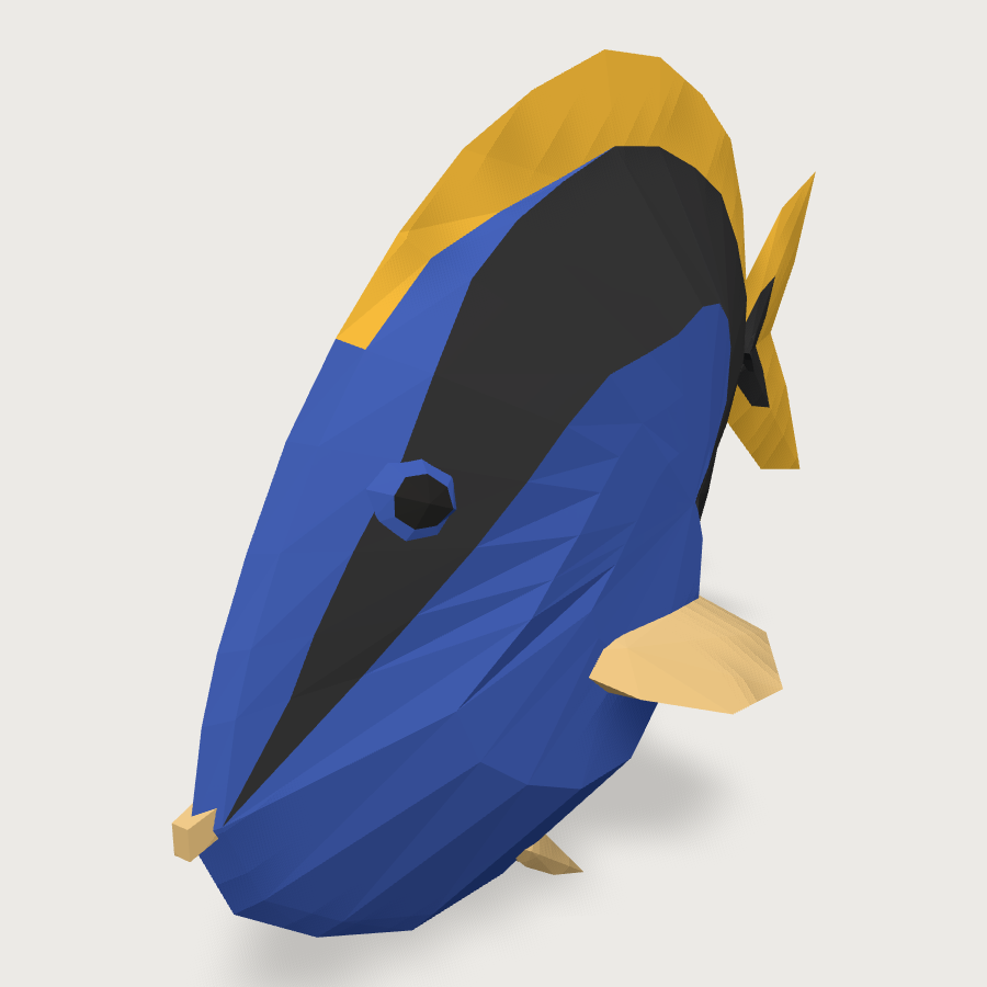 Blue Tang low-poly 3D model