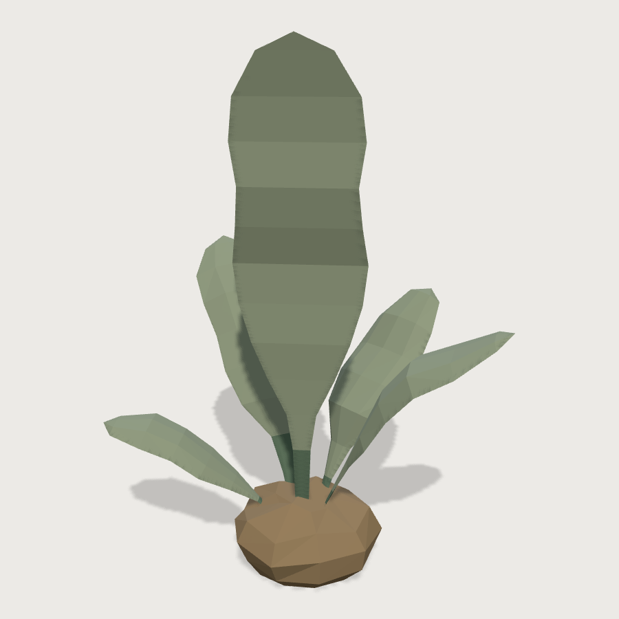 Broad Algae Frond low-poly 3D model