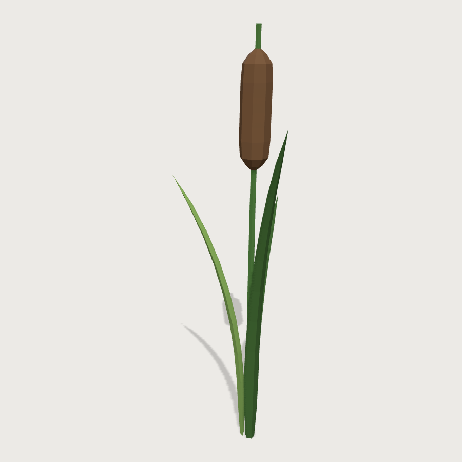 Cattail Reed low-poly 3D model