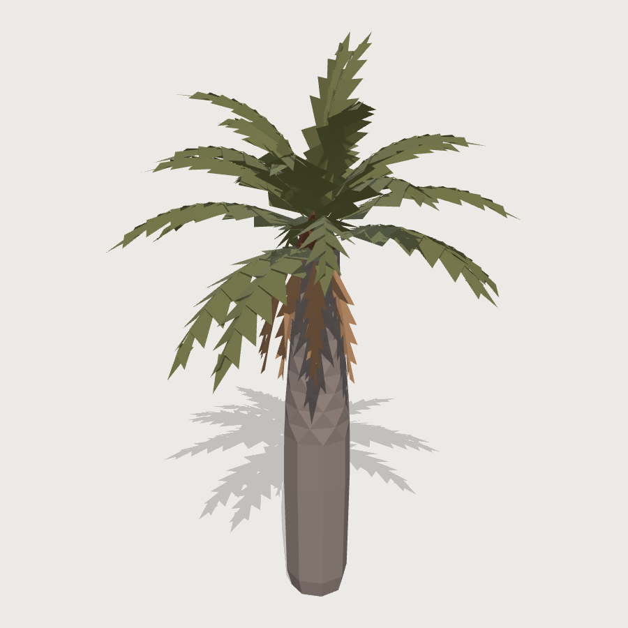 Chilean Palm low-poly 3D model