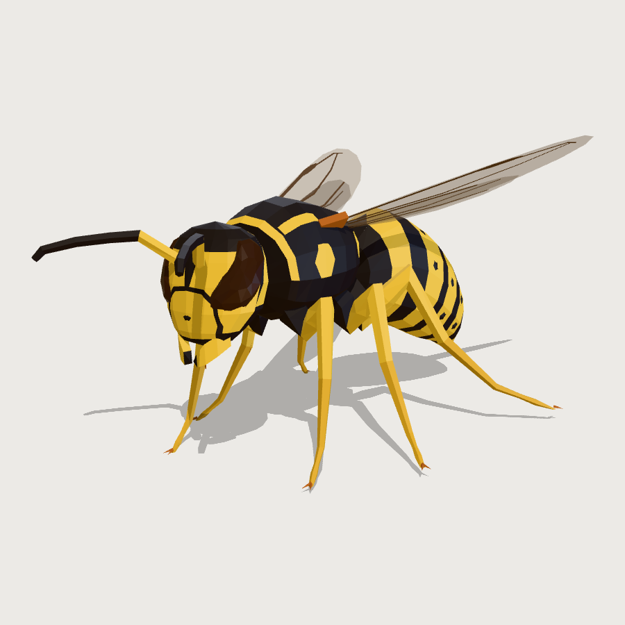 Common Wasp low-poly 3D model
