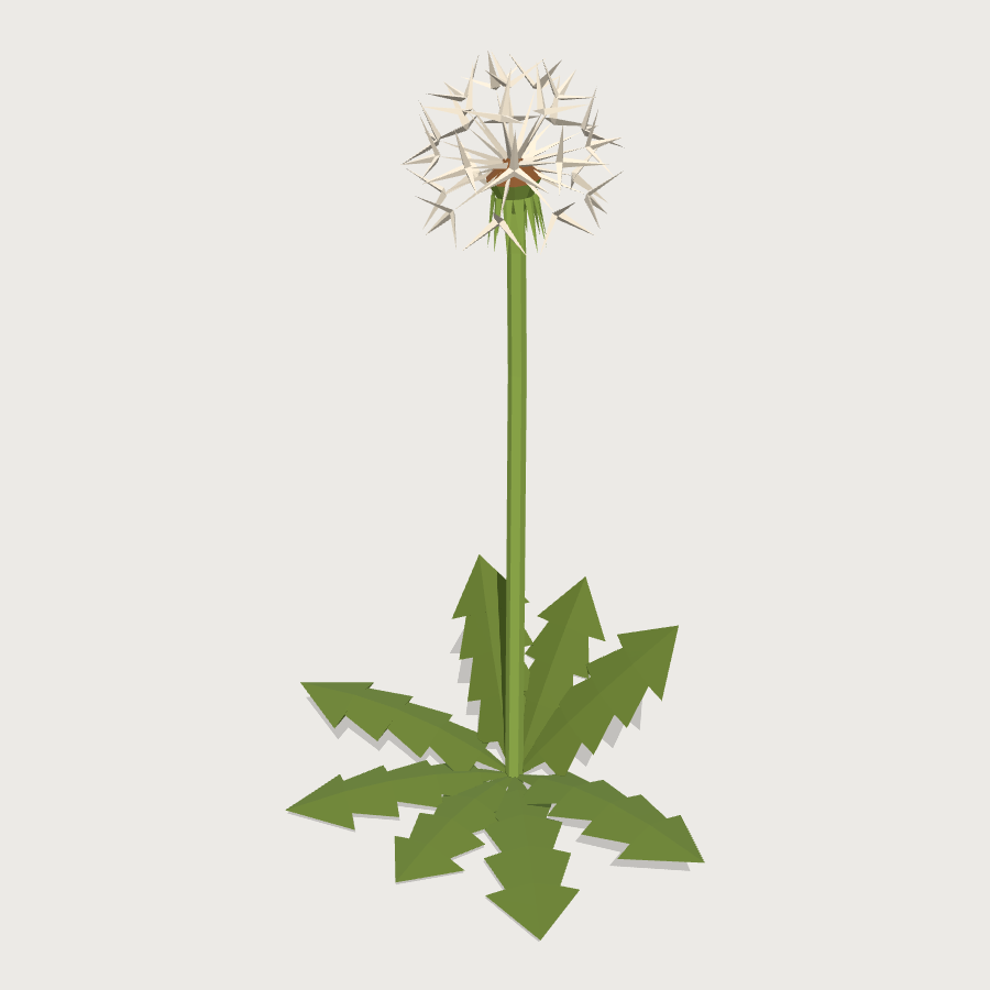 Dandelion low-poly 3D model