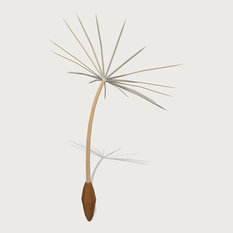 Dandelion Seed low-poly 3D model