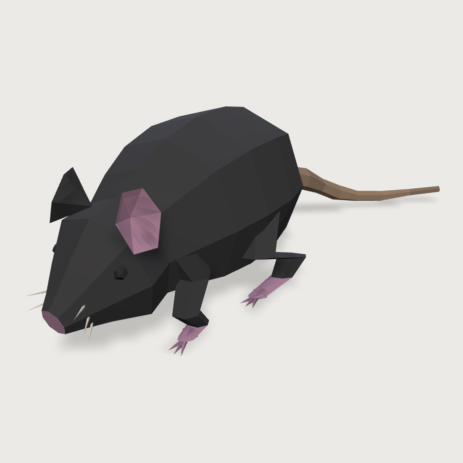 Dungeon Rat low-poly 3D model