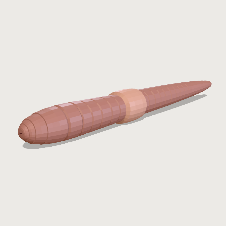 Earthworm low-poly 3D model