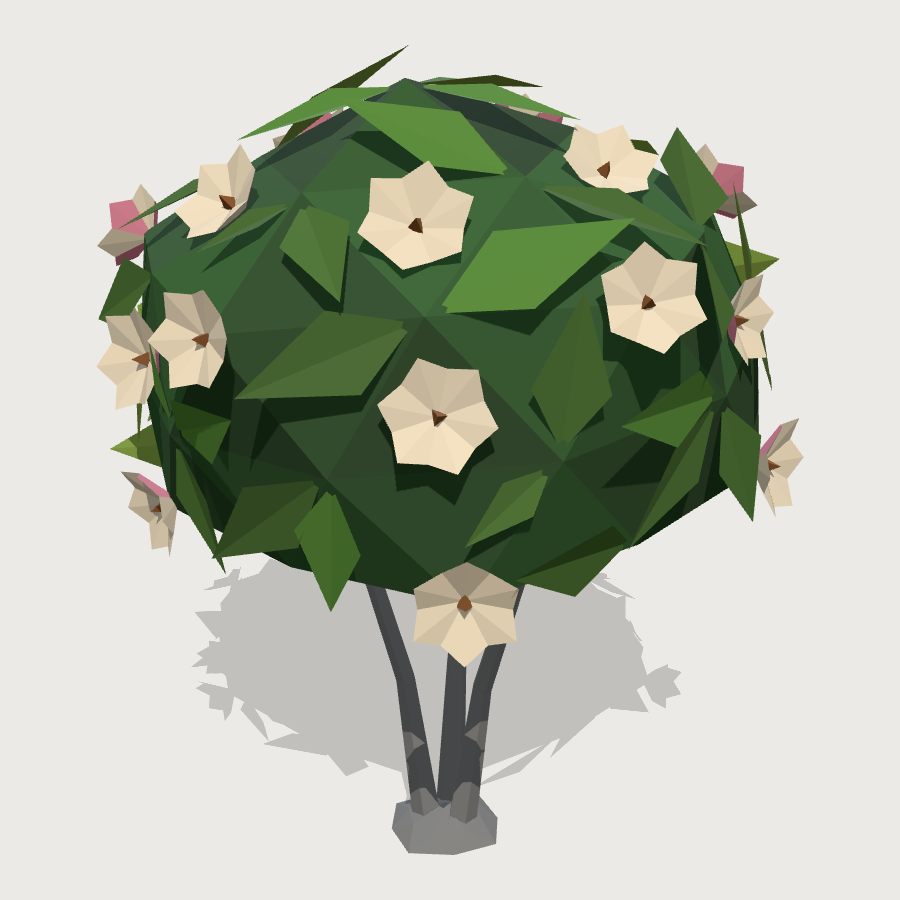 Flowering Magnolia low-poly 3D model