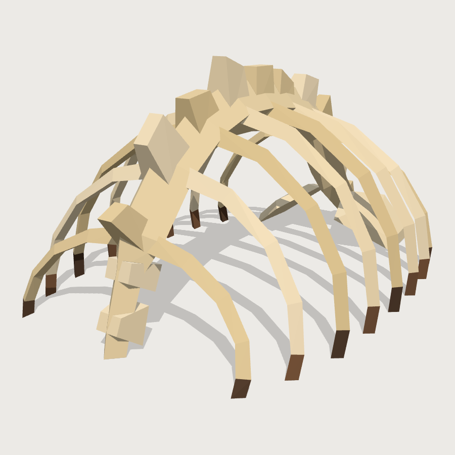 Fossil Ribcage low-poly 3D model