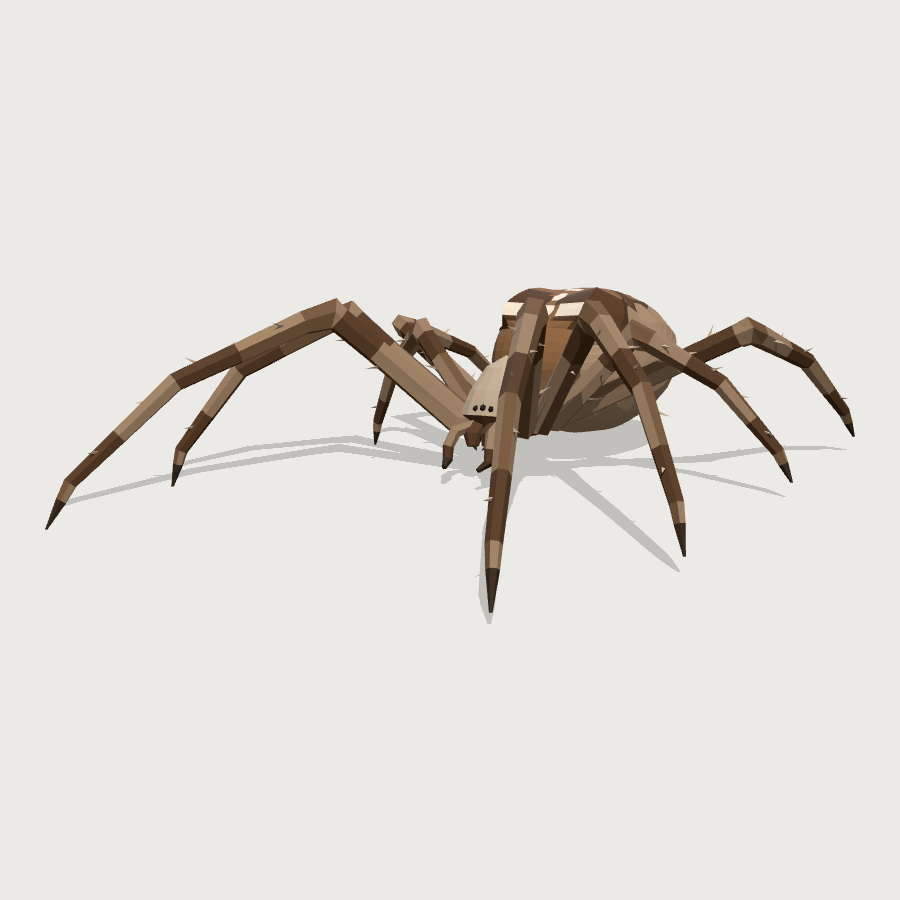 Garden Orb-Weaver low-poly 3D model