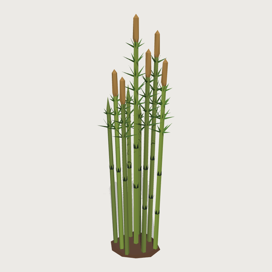 Giant Horsetail Stand low-poly 3D model