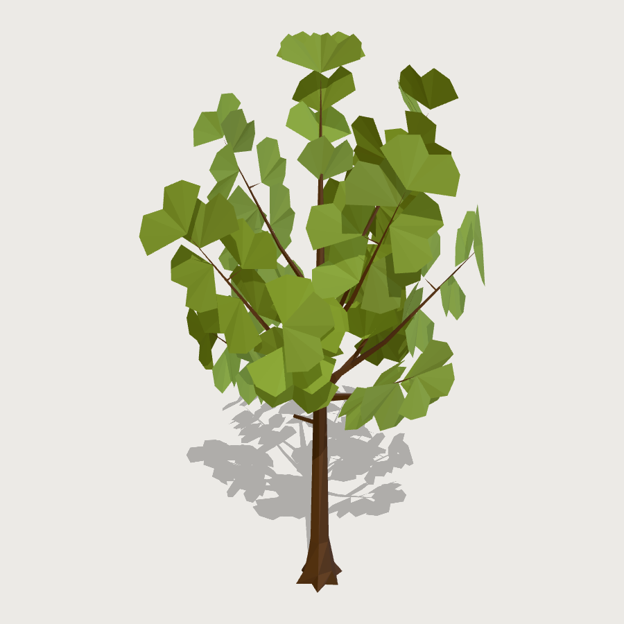 Ginkgo Tree low-poly 3D model