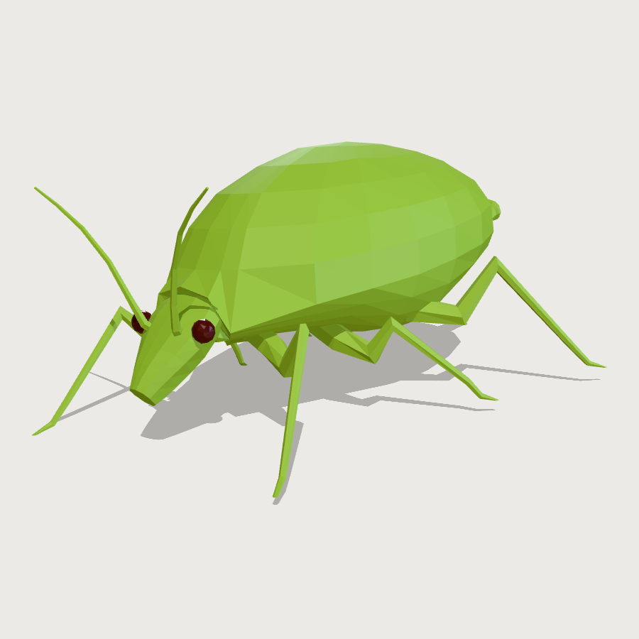 Green Aphid low-poly 3D model