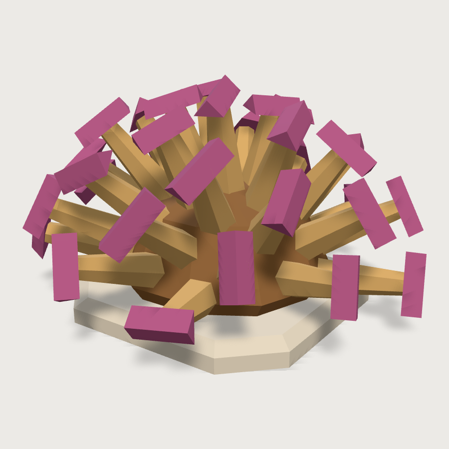 Hammer Coral low-poly 3D model