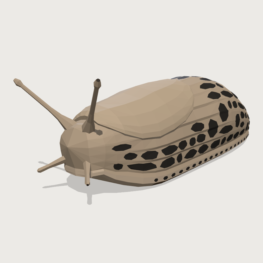Leopard Slug low-poly 3D model