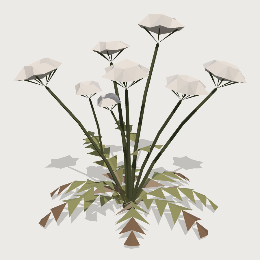 Lineside Cow Parsley low-poly 3D model