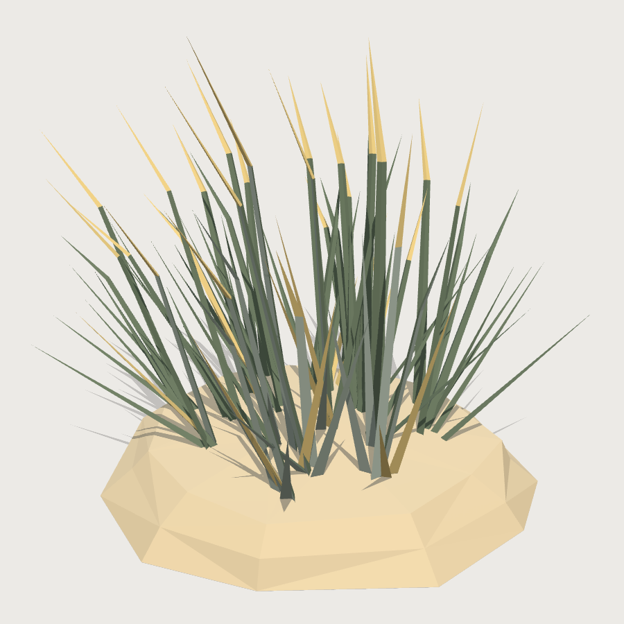 Marram Grass Tuft low-poly 3D model