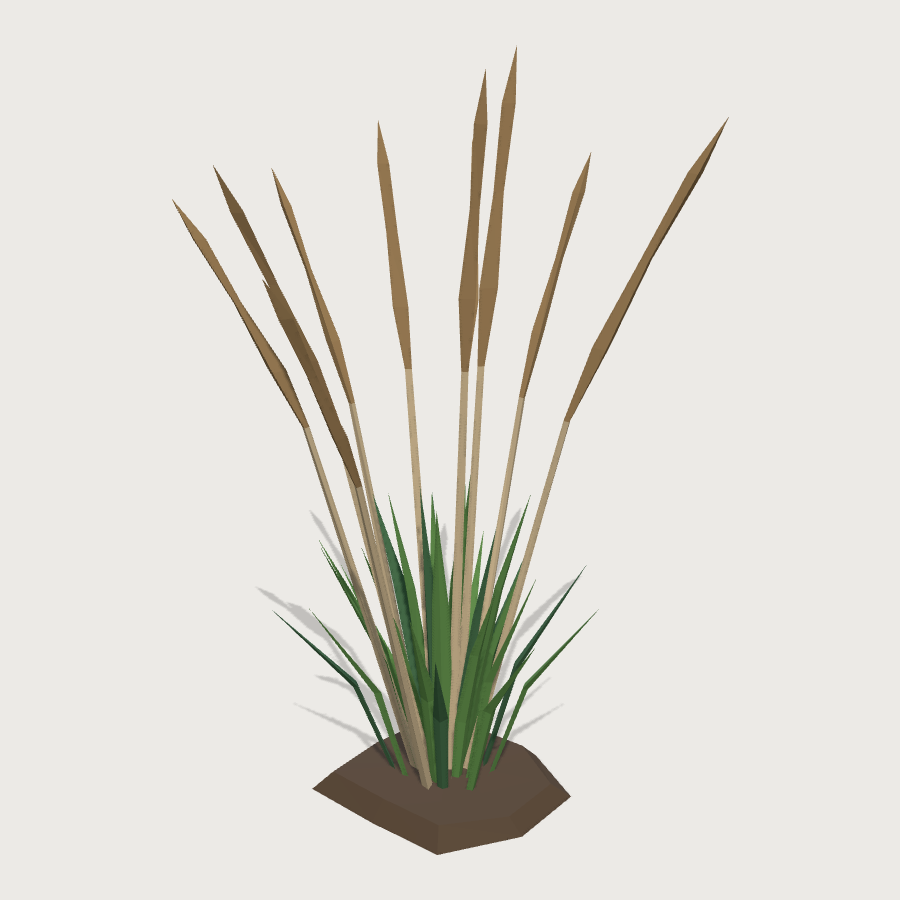 Moat Reed Clump low-poly 3D model