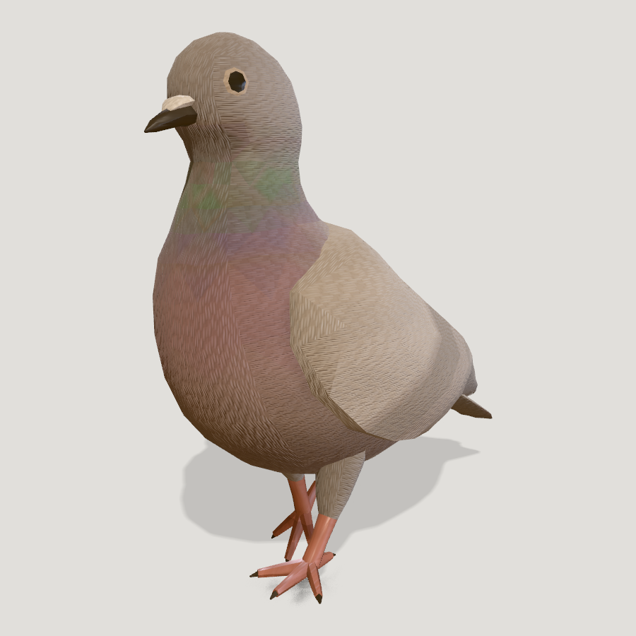 Pigeon HD 3D model