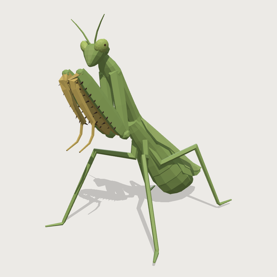 Praying Mantis low-poly 3D model