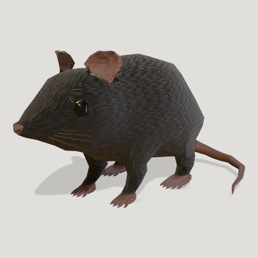 Rat HD 3D model