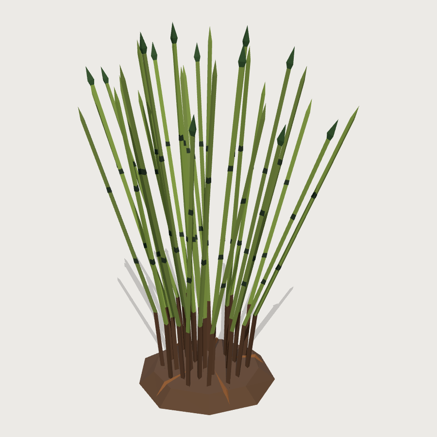River Reed Cluster low-poly 3D model