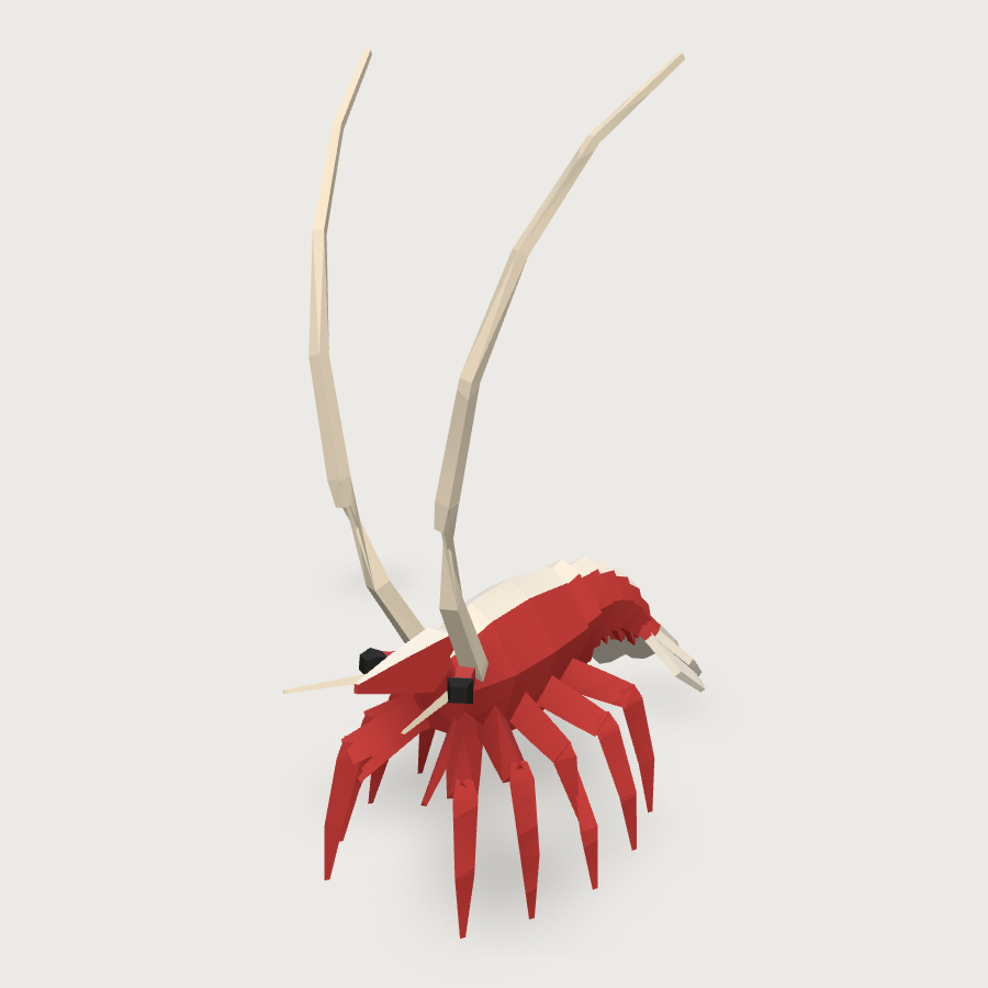 Skunk Cleaner Shrimp low-poly 3D model
