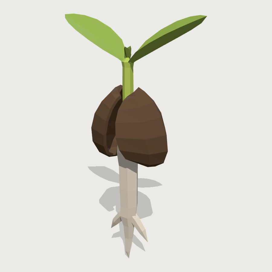 Sprouting Seedling low-poly 3D model