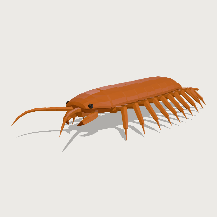 Stone Centipede low-poly 3D model