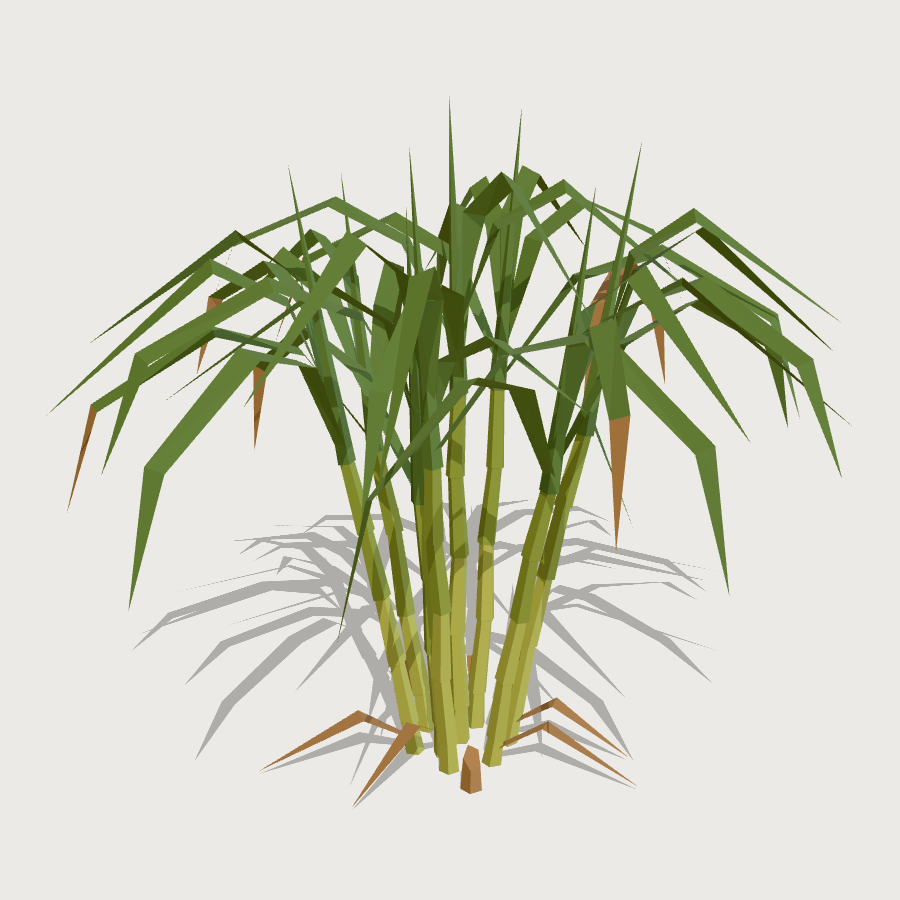 Sugar Cane Clump low-poly 3D model