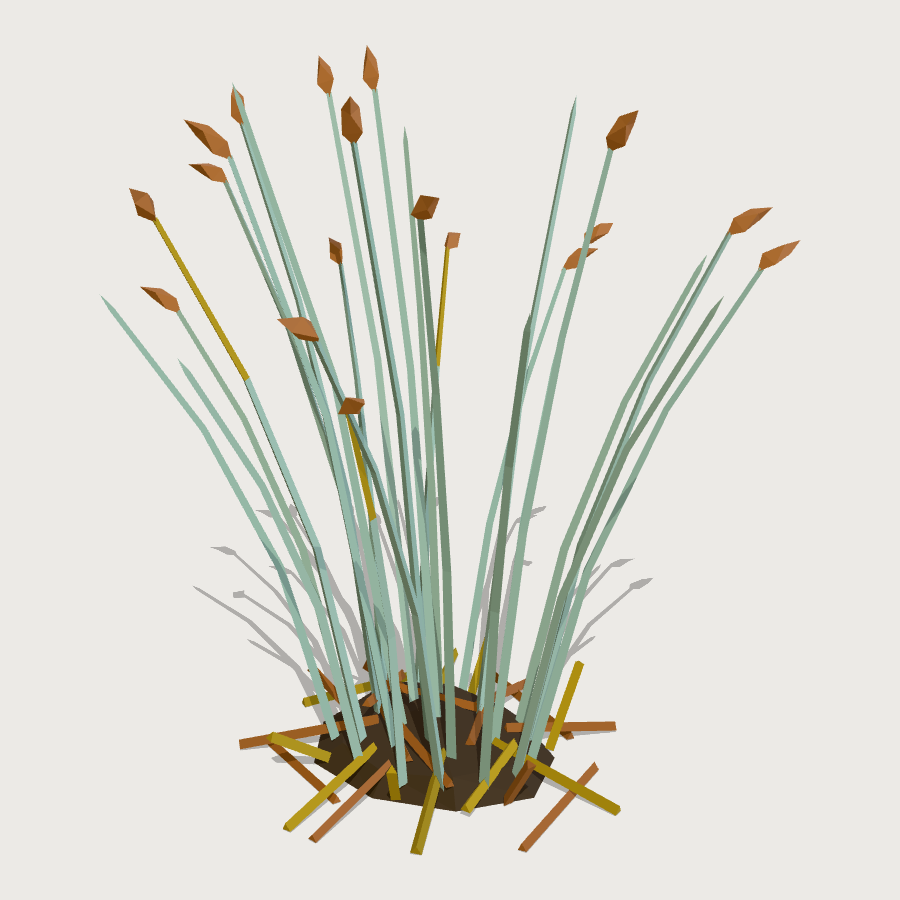 Totora Reed Bed low-poly 3D model