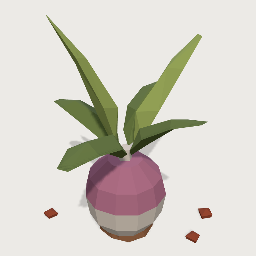 Turnip Crop low-poly 3D model
