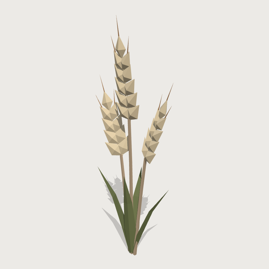 Wheat Plant low-poly 3D model