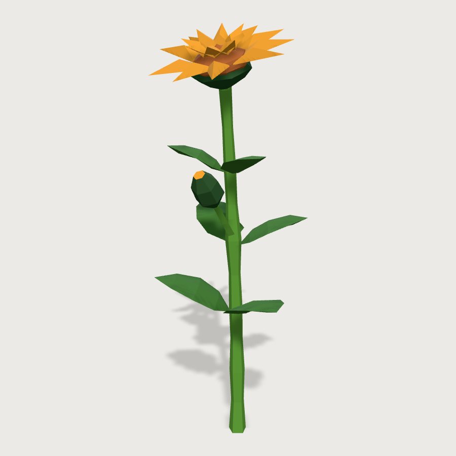 Wildflower plant low-poly 3D model