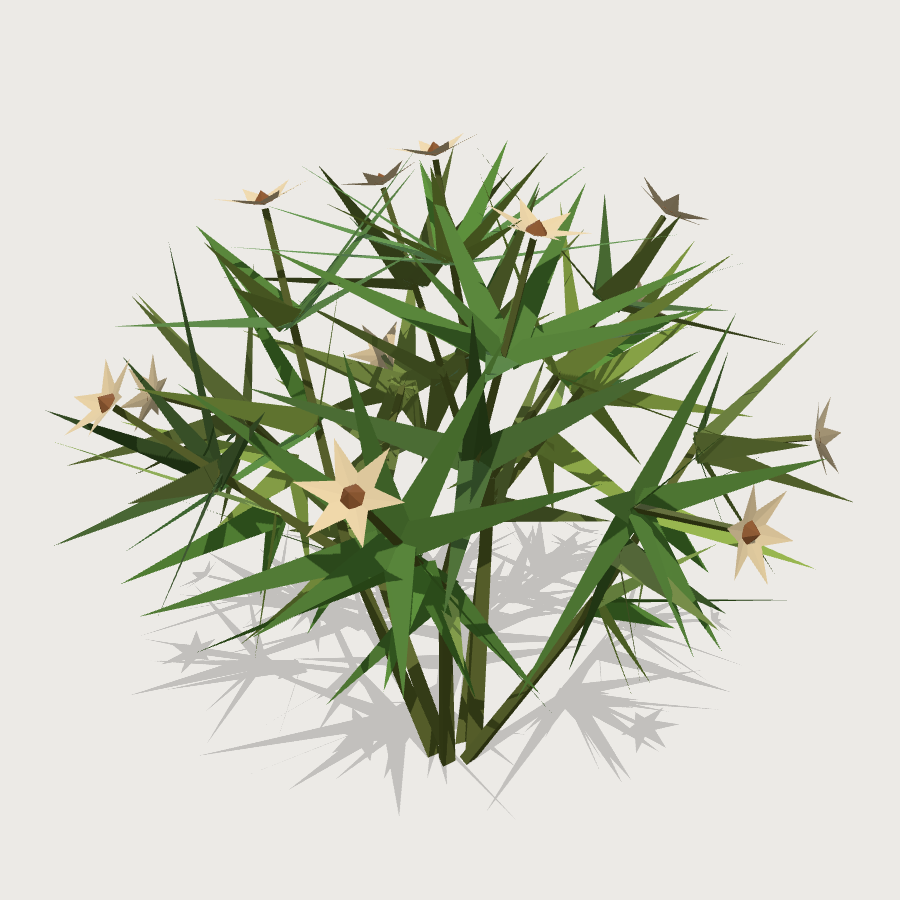 Williamsoniella Flowering Shrub low-poly 3D model